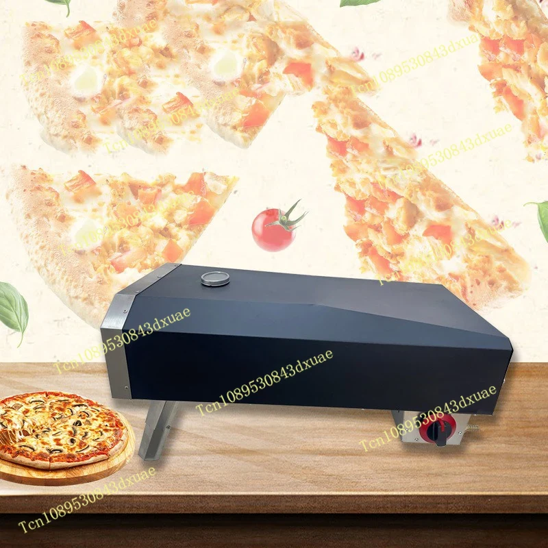 Forno per pizza a gas da campe - Camping Cooking Stove recensione e prezzo